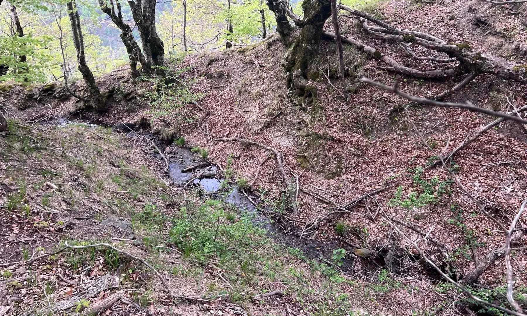 Prodaja, plac, 8000m², Kolašin, Crna Gora