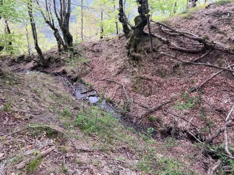 Prodaja, plac, 8000m², Kolašin, Crna Gora - image 4