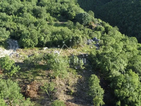 Sale, land lot, 9000m², Virpazar, Bar - image 8