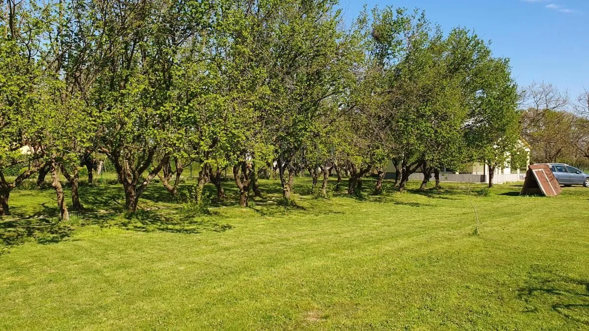 Prodaja, kuća, 132m², Ćurilac, Danilovgrad
