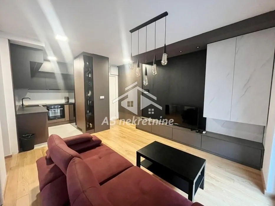 Izdavanje, stan, 55m², Južni Bulevar, Vračar Sve Podlokacije