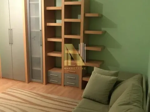 Izdavanje, dvosoban stan, 45m², Centar, Novi Sad