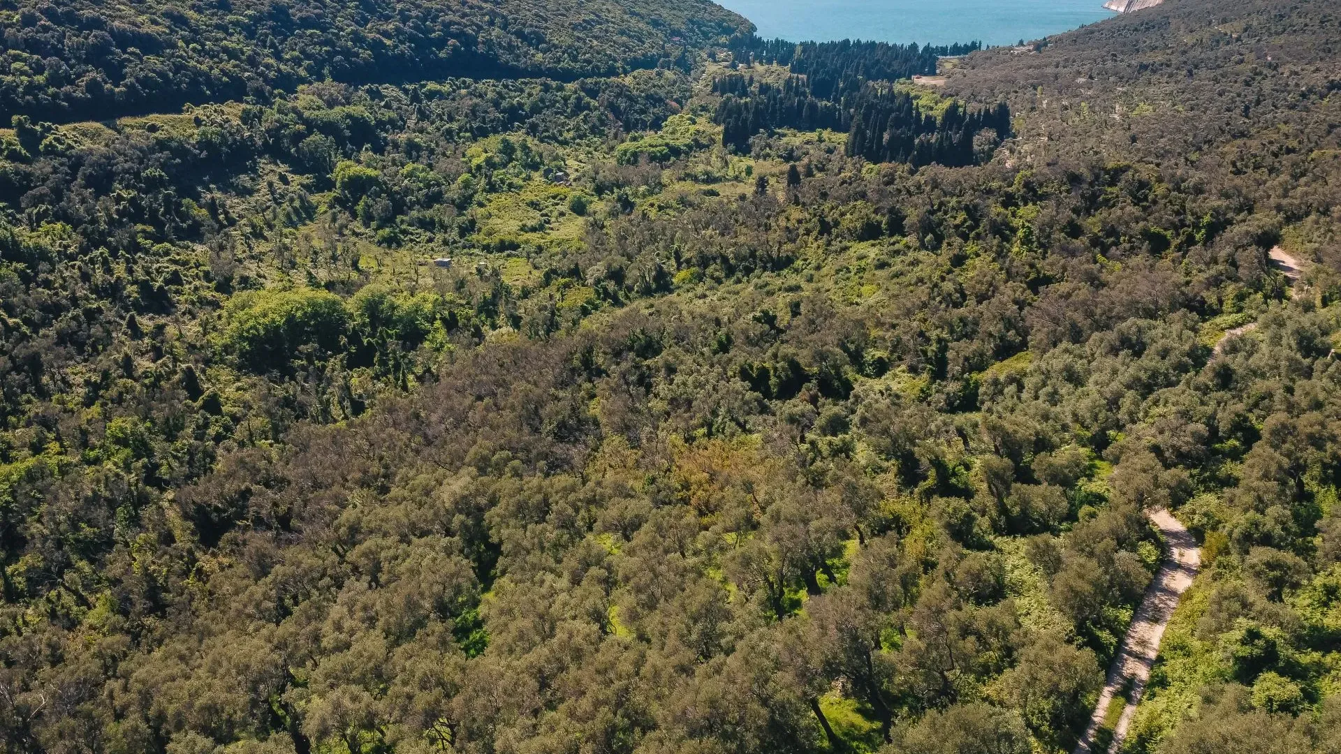 Prodaja, plac, 3030m², Ulcinj, Crna Gora