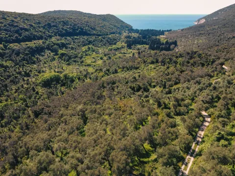 Prodaja, plac, 3030m², Ulcinj, Crna Gora - image 7