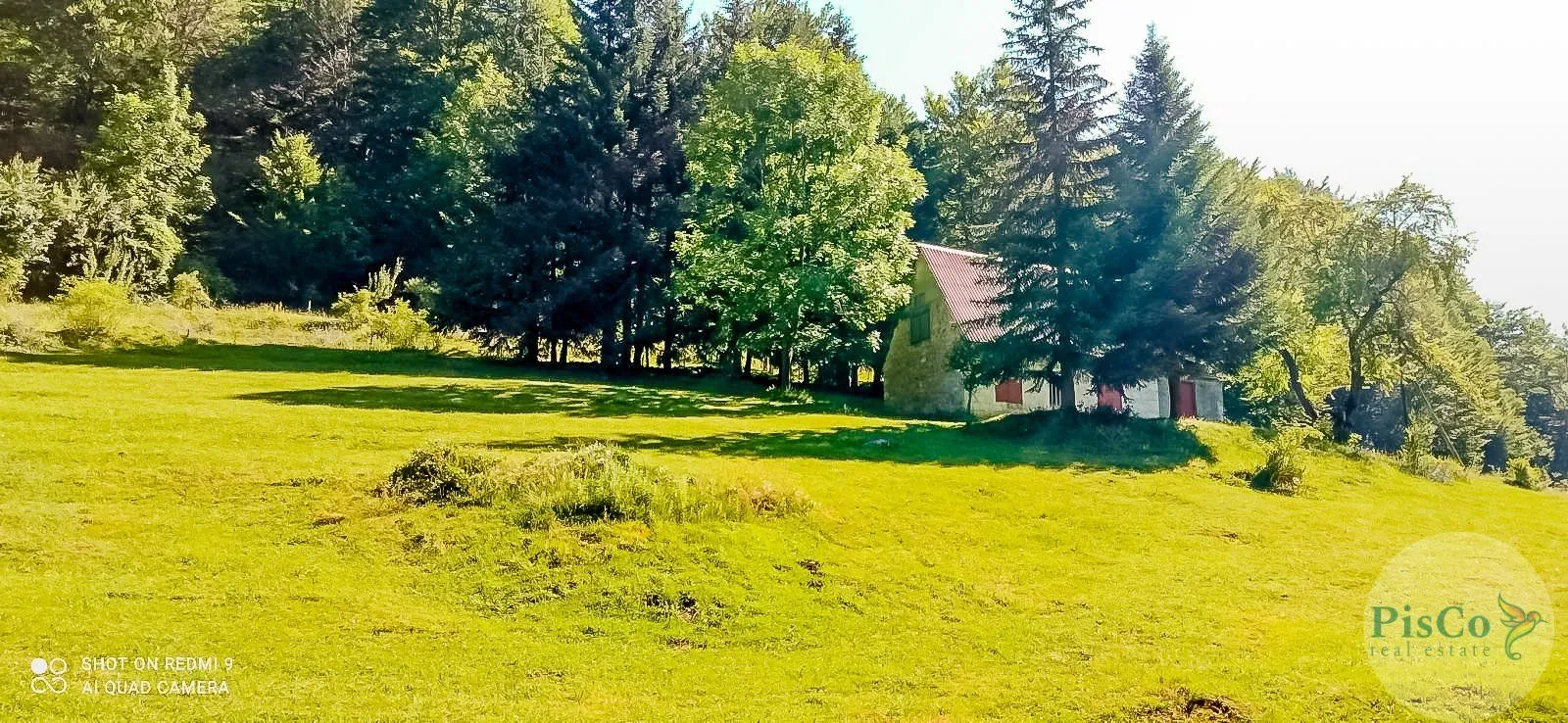 Prodaja, plac, 43000m², Šavnik, Crna Gora