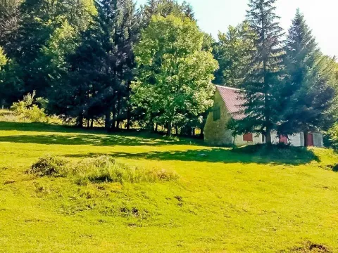 Prodaja, plac, 43000m², Šavnik, Crna Gora - image 1