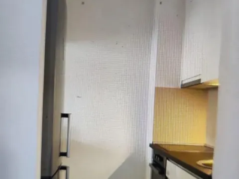 Izdavanje, dvosoban stan, 44m², Lion, Zvezdara Sve Podlokacije - image 12