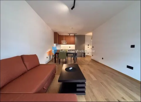Izdavanje, dvosoban stan, 60m², Hala Pionir, Palilula Sve Podlokacije - image 5