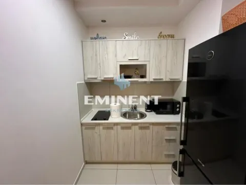 Izdavanje, jednosoban stan, 35m², Novi Beograd Blok 67, Novi Beograd Sve Podlokacije - image 7