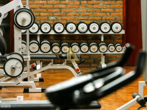 Prodaja, ugostiteljski objekat, 358m², Kopaonik, Srbija - image 19