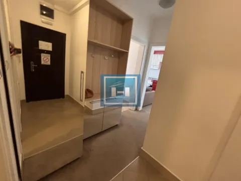 Izdavanje, dvosoban stan, 30m², Aqua park, Jagodina - image 16