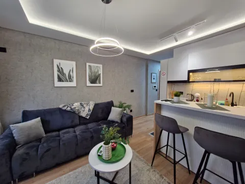 Daily-rent, one bedroom apartment, 34m², Centar, Vrnjačka Banja - image 6