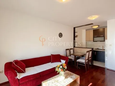 Izdavanje, stan, 42m², Stari Aerodrom, Podgorica - image 13