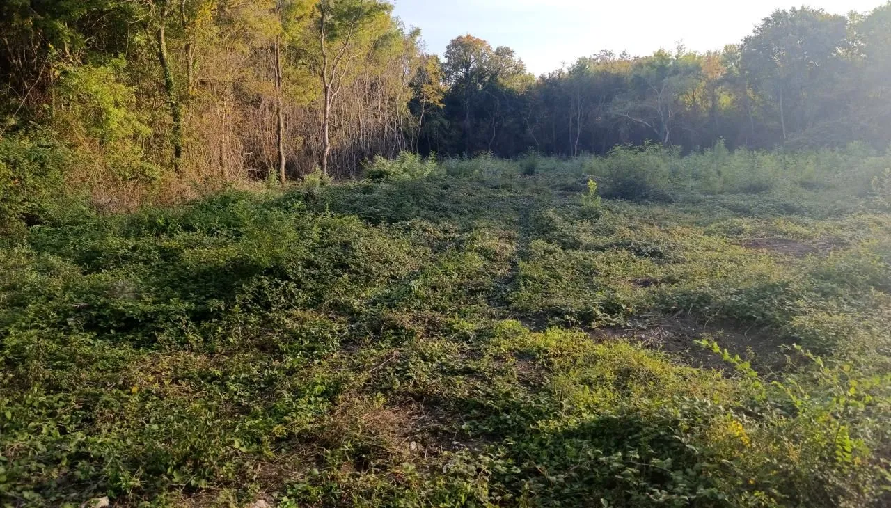 Prodaja, plac, 14608m², Donji Štoj, Ulcinj