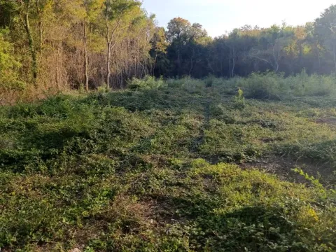 Prodaja, plac, 14608m², Donji Štoj, Ulcinj - image 7