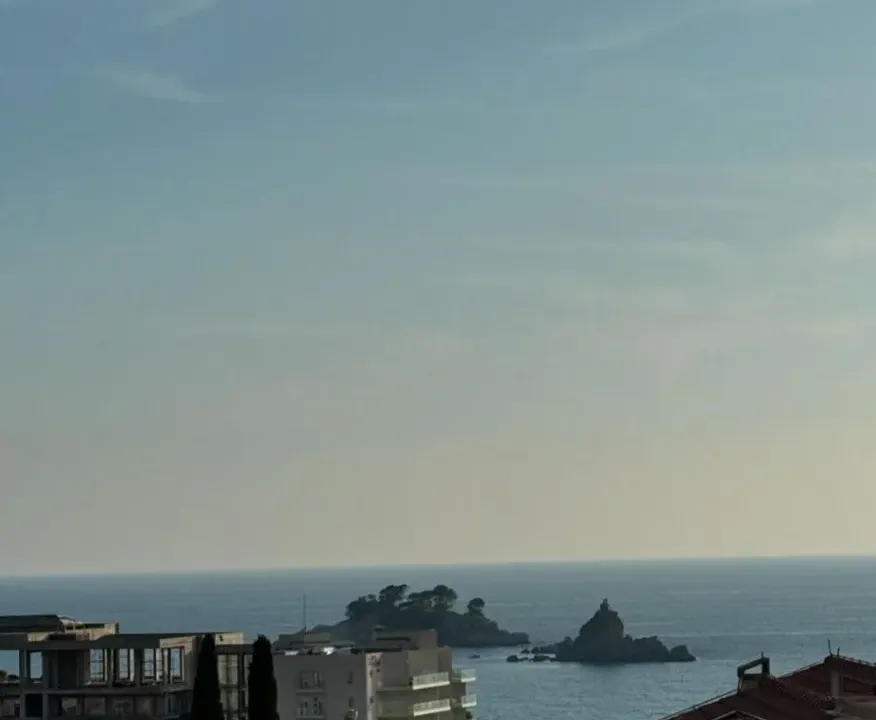 Prodaja, jednosoban stan, 35m², Petrovac, Budva