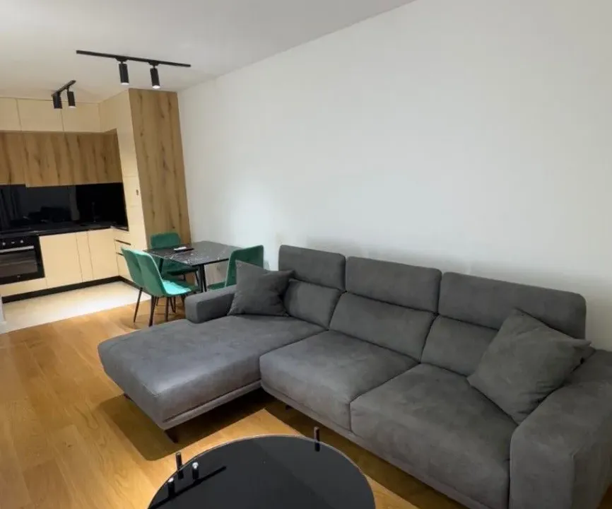 Izdavanje, jednosoban stan, 48m², Podgorica, Crna Gora