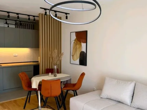 Rent, one bedroom apartment, 41m², Zabjelo, Podgorica - image 3
