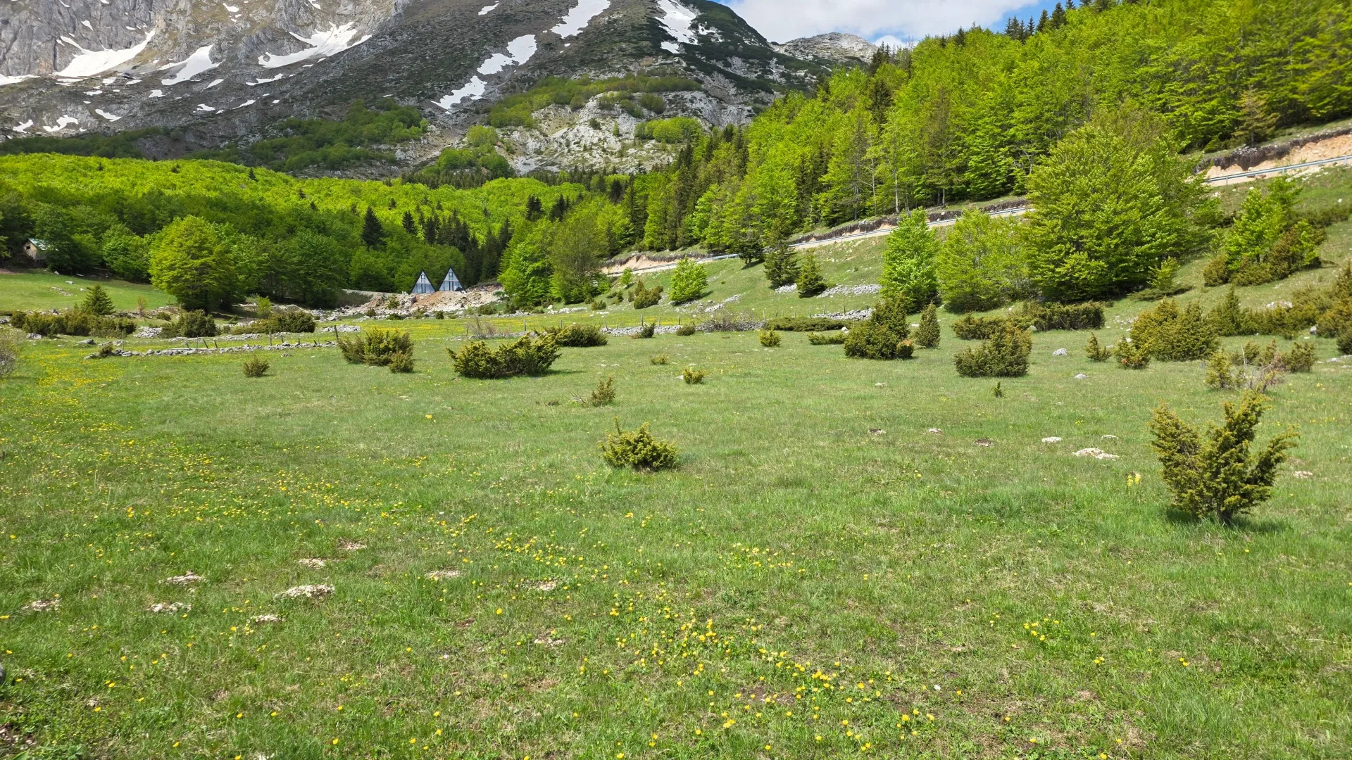 Prodaja, plac, 2500m², Motički gaj, Žabljak