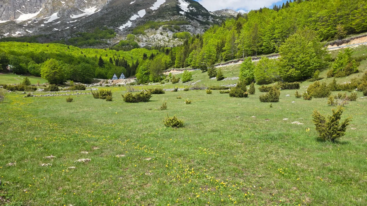 Prodaja, plac, 2500m², Motički gaj, Žabljak