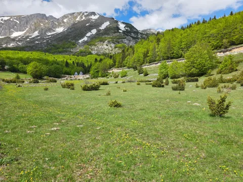Prodaja, plac, 2500m², Motički gaj, Žabljak - image 1
