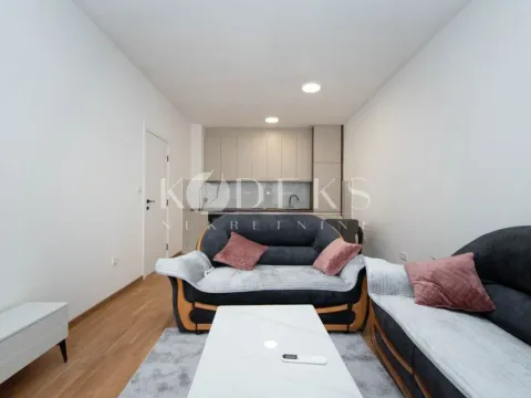 Izdavanje, jednosoban stan, 47m², Zabjelo, Podgorica - image 4