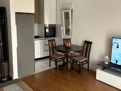 Rent, one bedroom apartment, 48m², Zabjelo, Podgorica - image 5