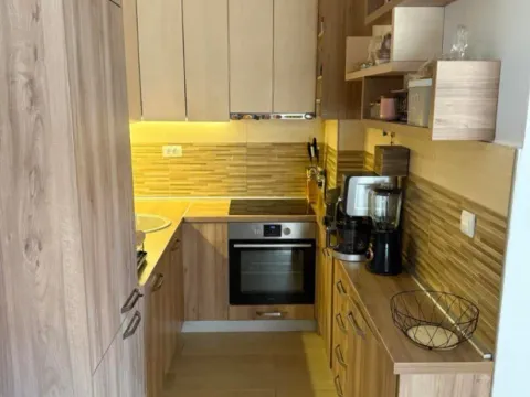 Rent, one bedroom apartment, 45m², Blok 6, Podgorica - image 6