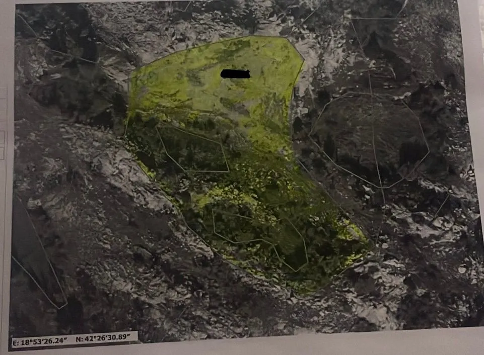 Prodaja, plac, 100000m², Cetinje, Crna Gora