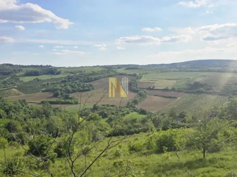 Sale, land lot, 4200m², Sremski Karlovci, Novi Sad - image 2