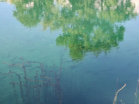 Prodaja, plac, 4430m², Podgorica, Crna Gora - image 6