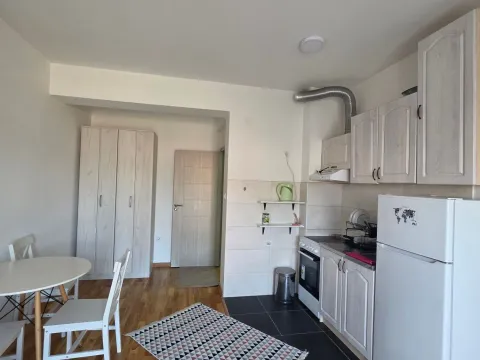 Rent, apartment, 35m², Zabjelo, Podgorica - image 3