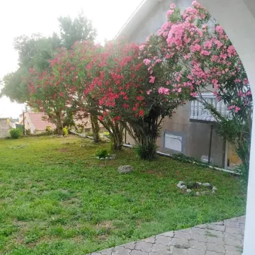 Prodaja, ugostiteljski objekat, 480m², Petrovac, Budva - image 3