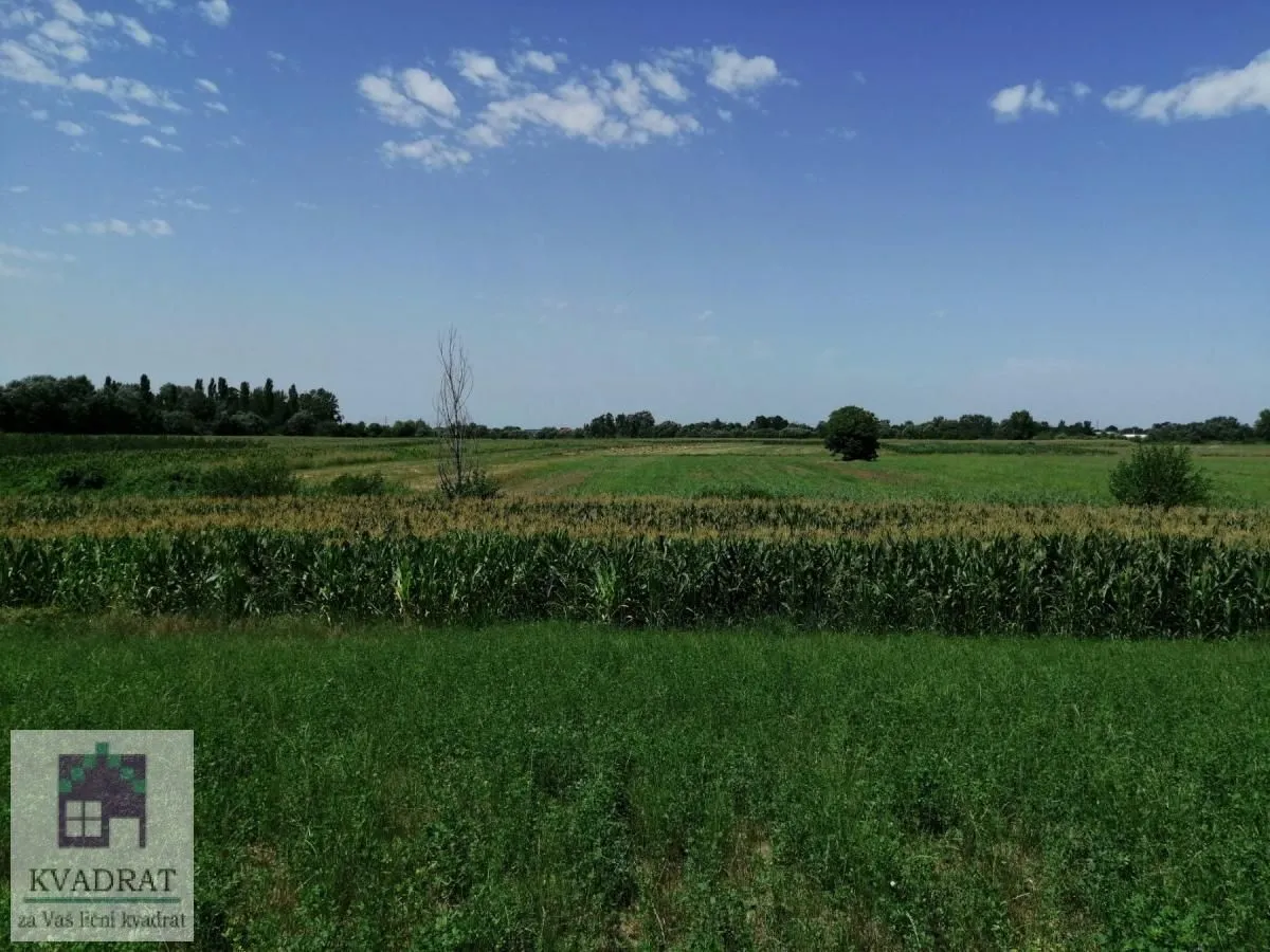 Sale, land lot, 2300m², Zvečka, Obrenovac