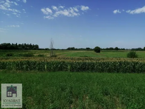 Sale, land lot, 2300m², Zvečka, Obrenovac - image 6