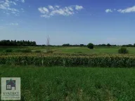 Prodaja, plac, 23m², Zvečka, Obrenovac - image 6