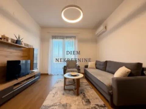 Izdavanje, jednosoban stan, 59m², Podgorica, Crna Gora - image 12