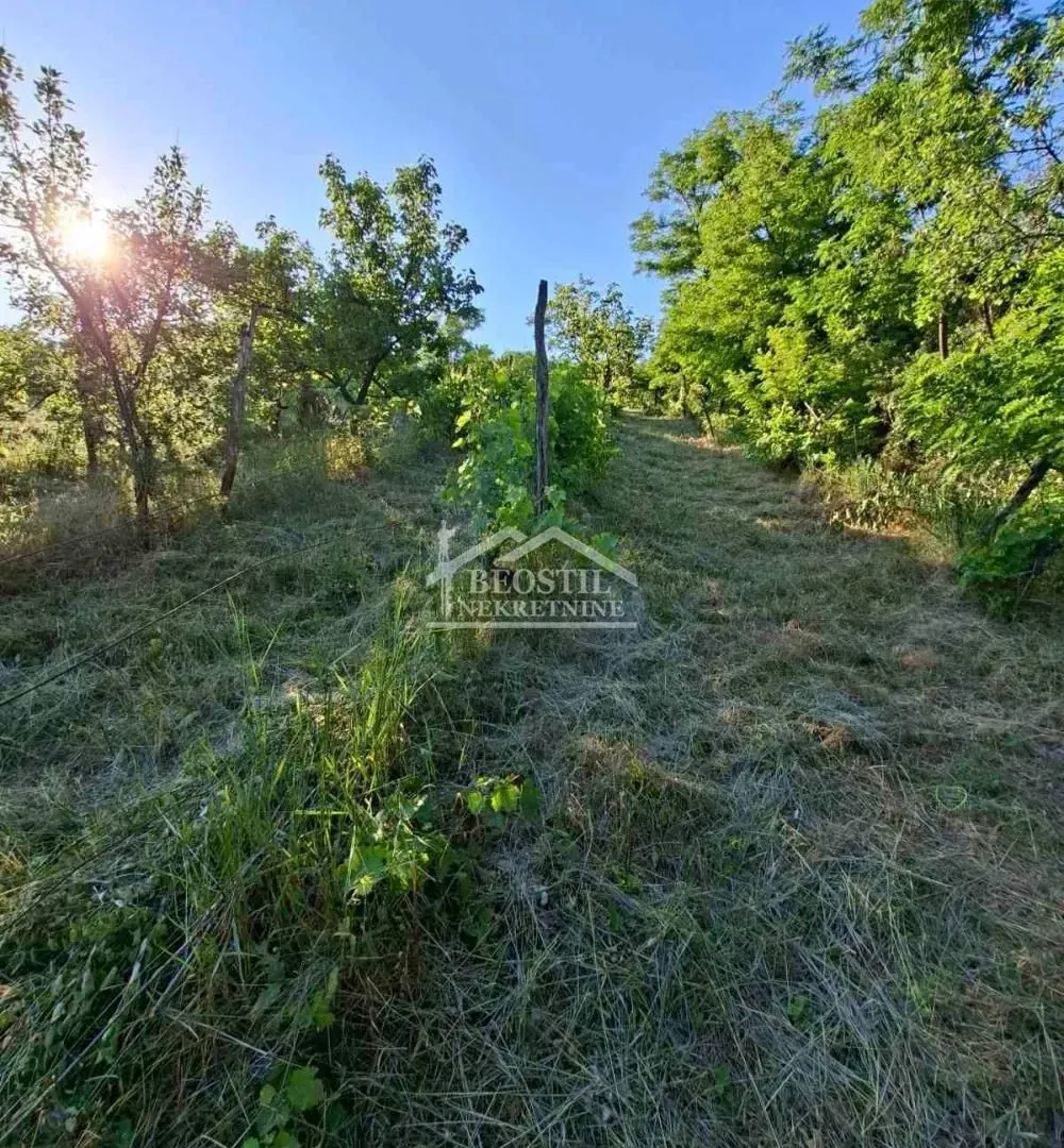 Prodaja, plac, 1800m², Grocka, Beograd