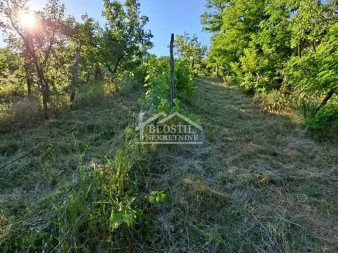 Prodaja, plac, 1800m², Grocka, Beograd - image 4