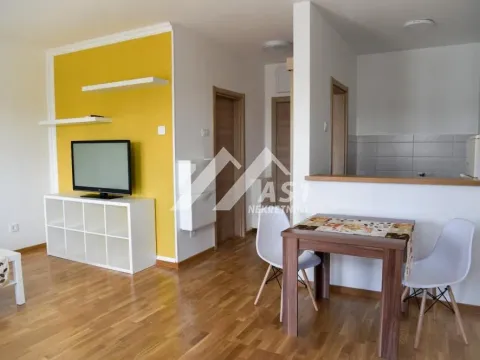Rent, one bedroom apartment, 37m², Jugovićevo, Novi Sad Sve Podlokacije - image 4