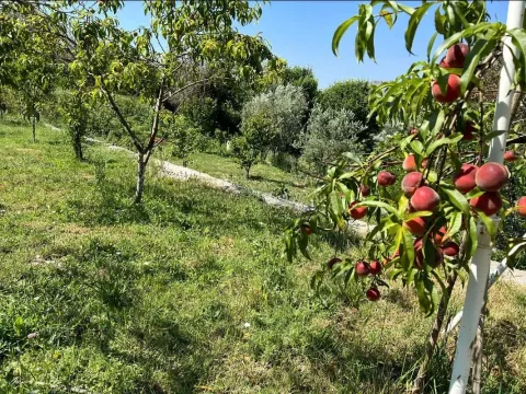 Prodaja, kuća, 170m², Bar, Crna Gora - image 8