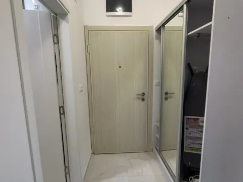 Izdavanje, jednosoban stan, 47m², Zabjelo, Podgorica - image 10