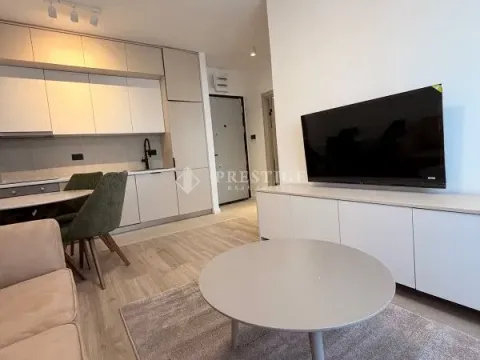 Izdavanje, jednosoban stan, 35m², Zabjelo, Podgorica - image 5