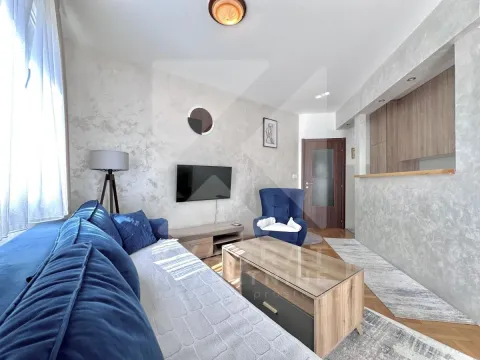Rent, one bedroom apartment, 43m², Stari Aerodrom, Podgorica - image 3