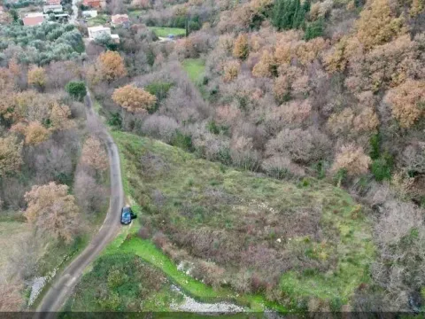 Sale, land lot, 751m², Radanovići, Kotor - image 6