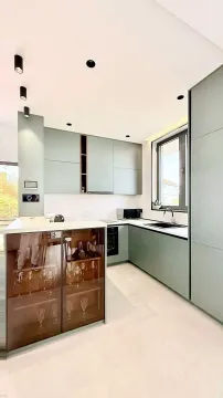 Modern kitchen with green cabinetry and built-in appliances. - image 11