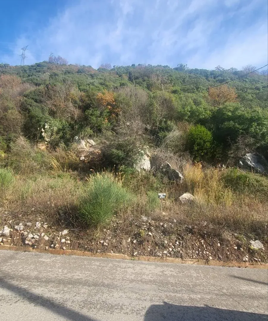 Prodaja, plac, 4500m², Kotor, Crna Gora