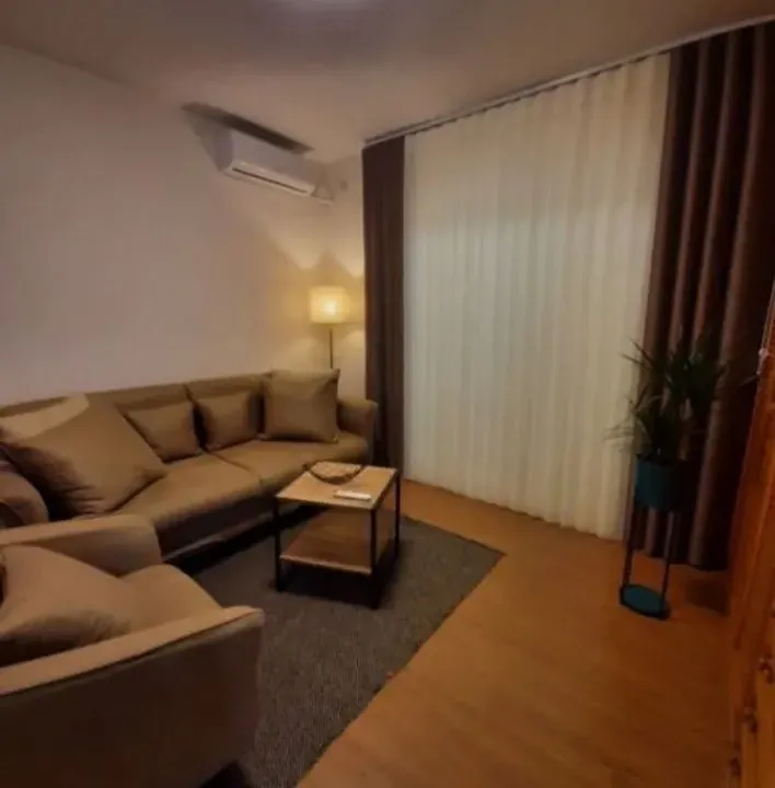 Izdavanje, jednosoban stan, 45m², Preko Morače, Podgorica