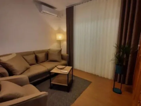 Izdavanje, jednosoban stan, 45m², Preko Morače, Podgorica