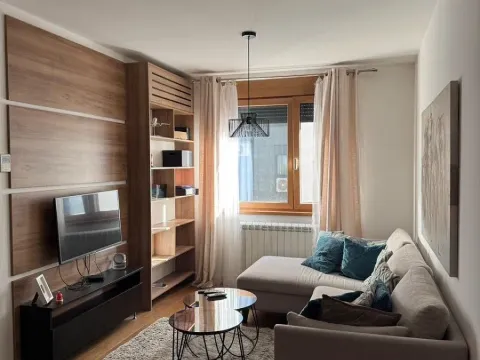 Rent, two bedroom apartment, 40m², Južni Bulevar, Vračar Sve Podlokacije - image 7